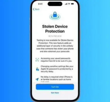 泸西苹果授权维修店分享被盗设备保护功能开启方法 