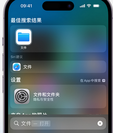 泸西apple维修中心分享iPhone文件应用中存储和找到下载文件 