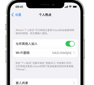 泸西apple服务站点分享iPhone上个人热点丢失了怎么办 