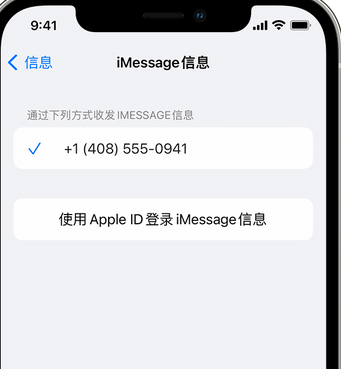 泸西apple维修iPhone上无法正常发送iMessage信息 