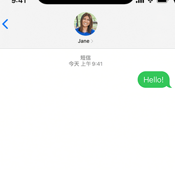 泸西apple维修iPhone上无法正常发送iMessage信息