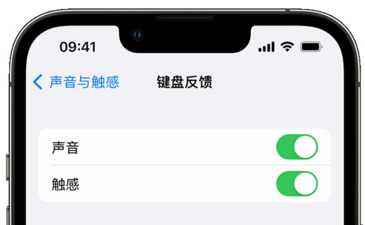 泸西苹果手机维修分享iPhone 14触感键盘使用方法 