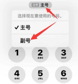 泸西苹果14维修店分享iPhone 14 Pro Max使用副卡打电话的方法 