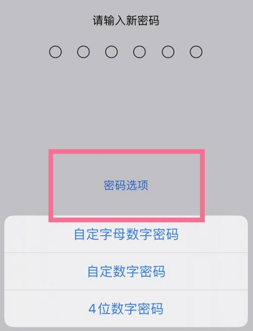 泸西苹果14维修分享iPhone 14plus设置密码的方法 