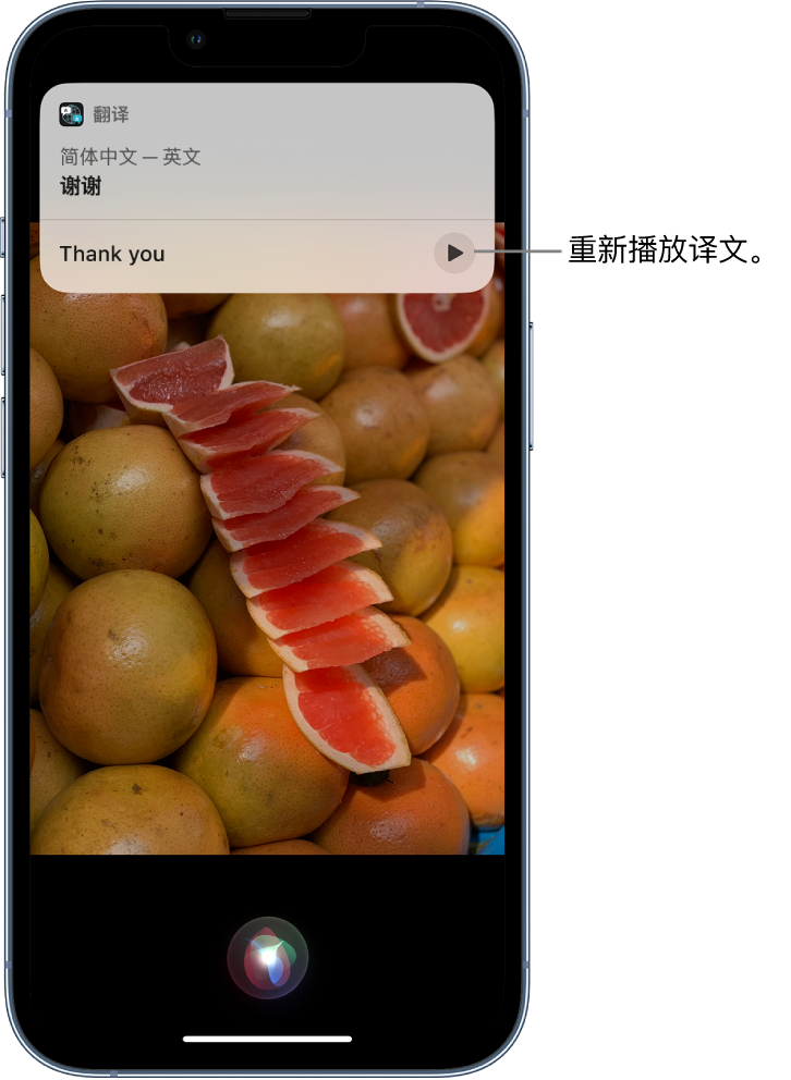 泸西苹果14维修分享 iPhone 14 机型中使用 Siri：了解 Siri 能帮你做什么 