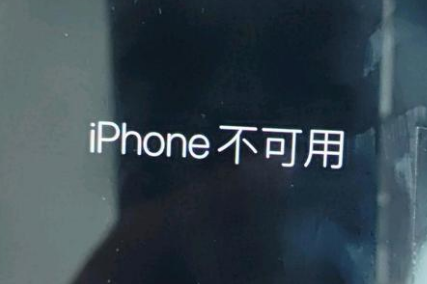 泸西苹果服务网点分享锁屏界面显示“iPhone 不可用”如何解决 