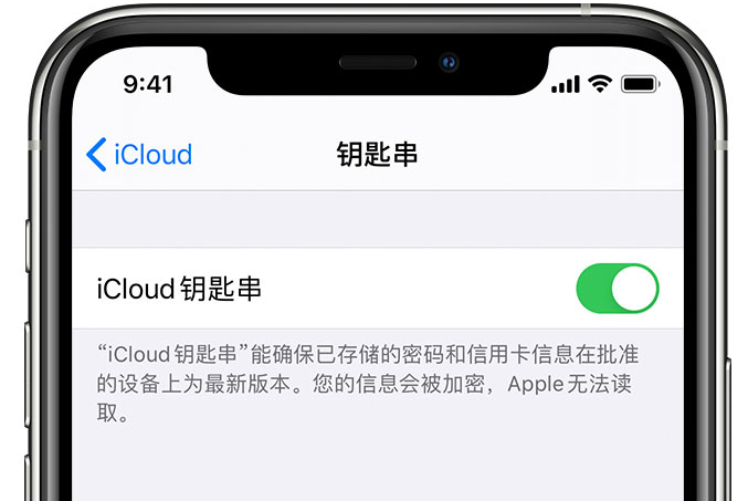 泸西苹果手机维修分享在 iPhone 上开启 iCloud 钥匙串之后会储存哪些信息 