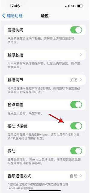 泸西苹果手机维修分享iPhone手机如何设置摇一摇删除文字 