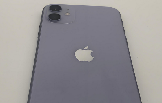 泸西苹果11系统维修分享iPhone11手机系统崩溃无法开机如何解决